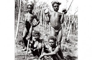 New Guineans