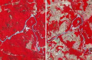 deforestation in Brazil deforestation in Brazil