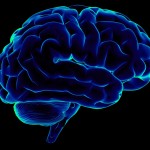 brain sampling