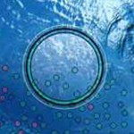 Darwin feature image