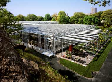 Nolen Greenhouse