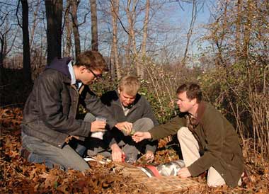 New York Botanical Garden scientists
