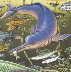 Amazon River Dolphin