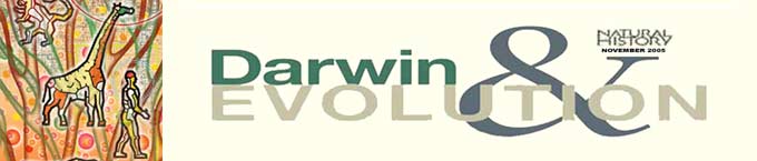 Darwin & Evolution
