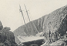 The Bowdoin