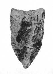 Artifact associated with fossil bison.