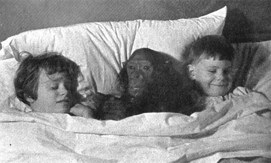 Bedtime