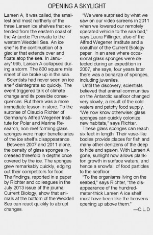 Opening A Skylight 1