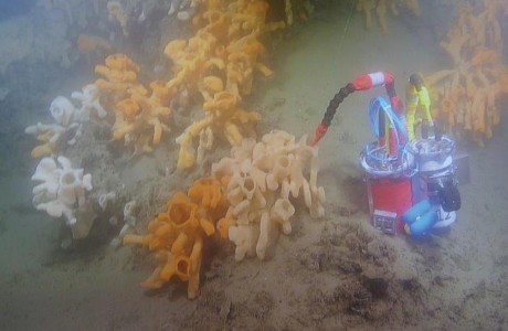 sensor positioned by ROPOS