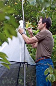 entomology curator entomology curator