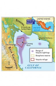 vaquite map vaquite map