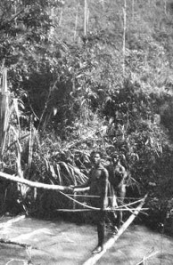 primitive bridge