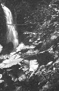 waterfall