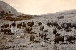 National Parks National Parks