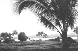 government coast village