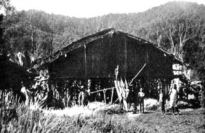 New Guinea