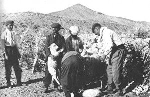 Sheep raising is one of Patagonia’s principal industries