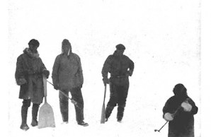 shovels