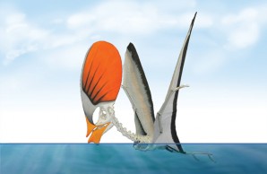 Tapejara wellnhoferi