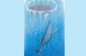 whale in bubble net