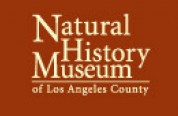Los Angeles museum