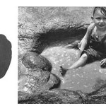 dinosaur track