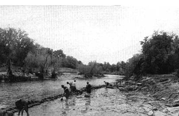 Dinosaur tracks in drained area