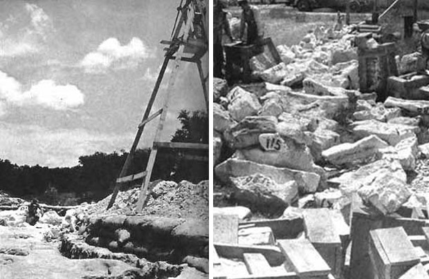 scaffold on dinosaur trail